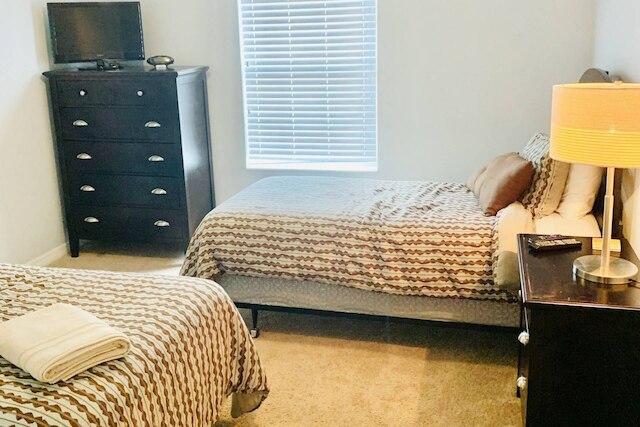 3083 パラダイス パームス