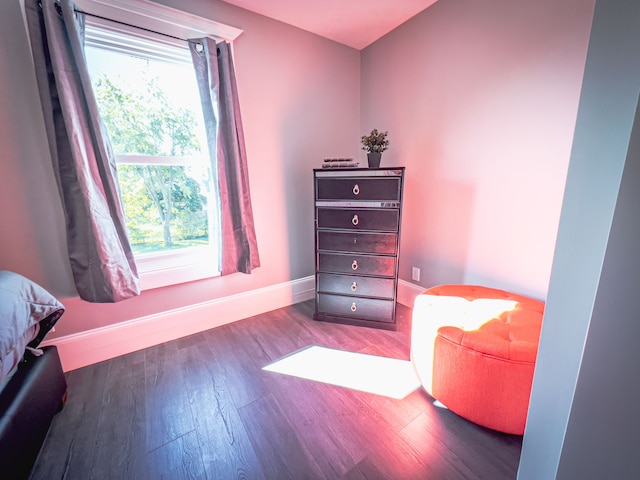 ザ・ジャックポット・コテージ