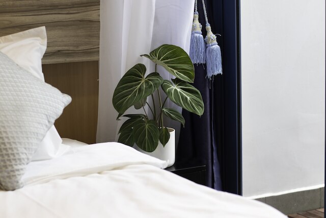 ヴィクトリアホテル、ヌヴェグループ・コレクション