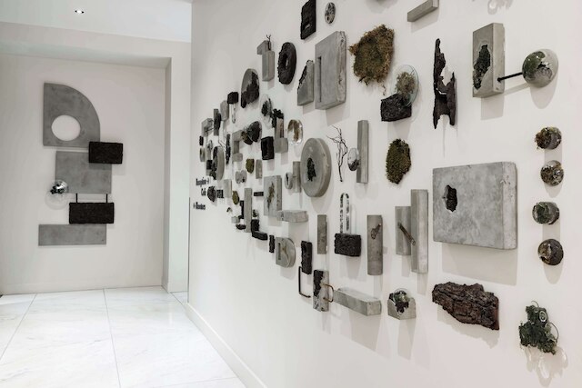 ティンブリ オテル サンフランシスコ, キュリオ コレクション バイ ヒルトン