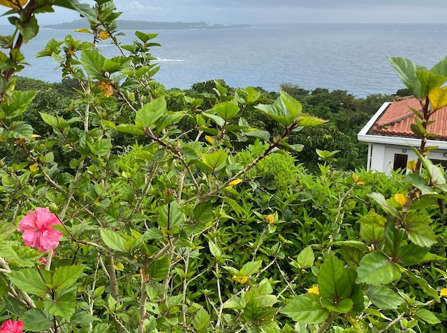 オーシャンテラス