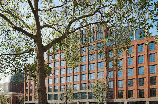 ザ ホクストン シェパーズ ブッシュ