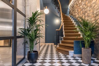 コホート・コウカキ