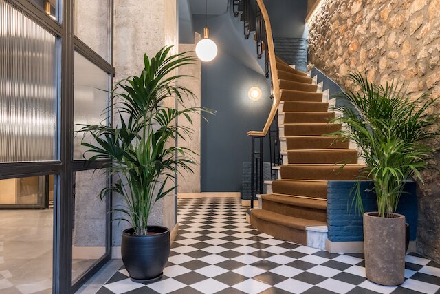 コホート・コウカキ