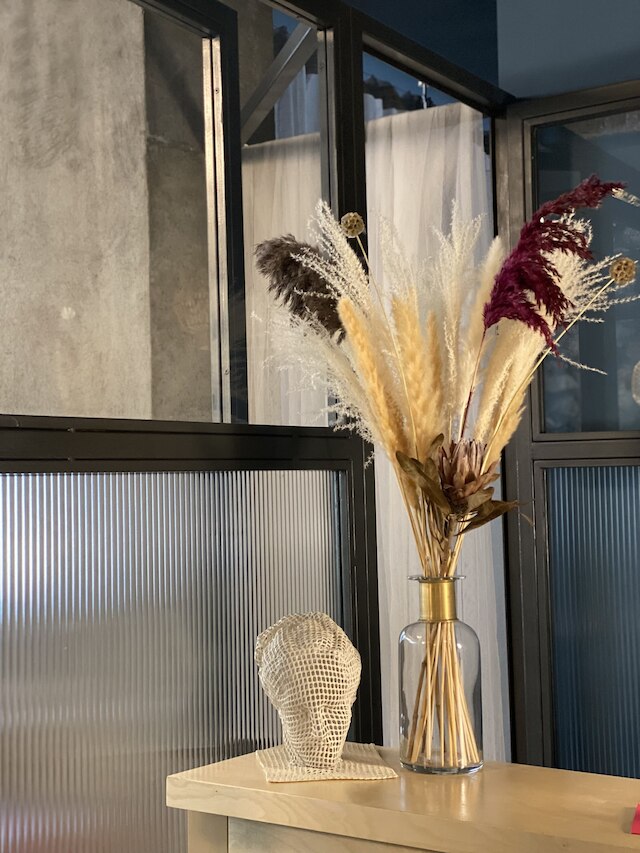 コホート・コウカキ