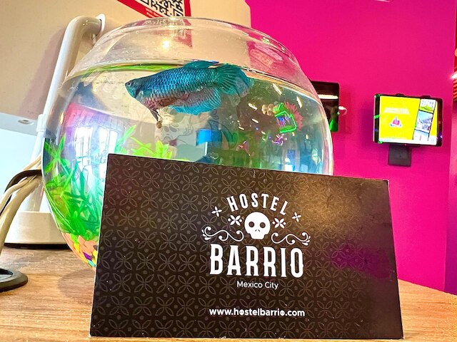 バリオ・ダウンタウン・メキシコシティ・ホステル