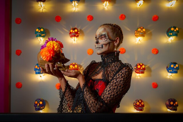 バリオ・ダウンタウン・メキシコシティ・ホステル