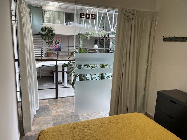 ダウンタウン・トレジャー・プレイス