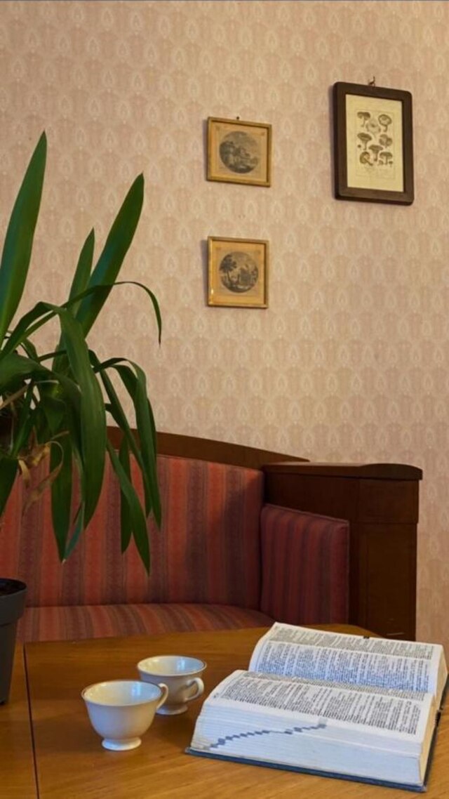 ヴィラ・インターナショナルズ