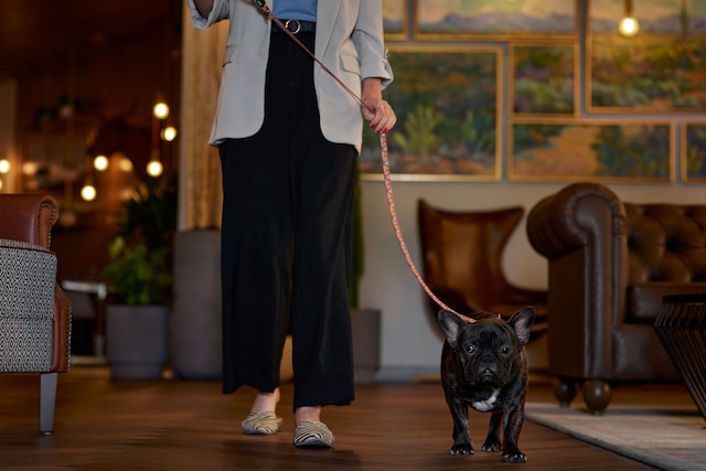 ザ レオ ケント  ホテルツーソン トリビュート ポートフォリオ ホテル