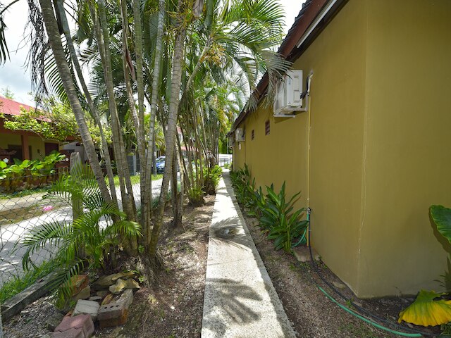 コレクション O 90622 セヒージャウ @ セナン