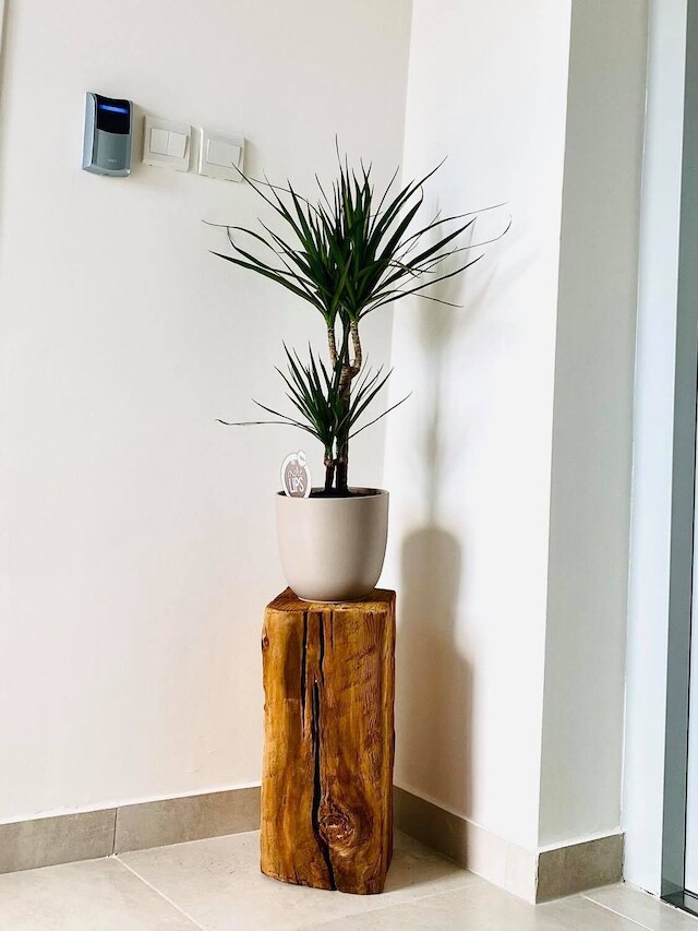 248 ブティック スタジオ