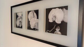 イタリアンウェイ - リーヴァ ディ レノ 47 B