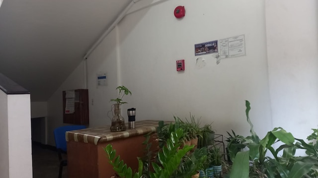 テソロ アパートメンツ