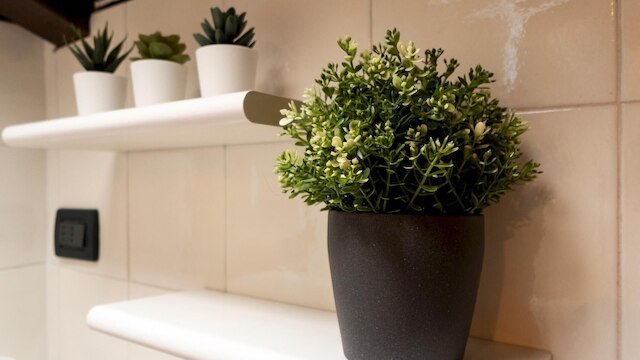 イタリアンウェイ - ピエラ  5