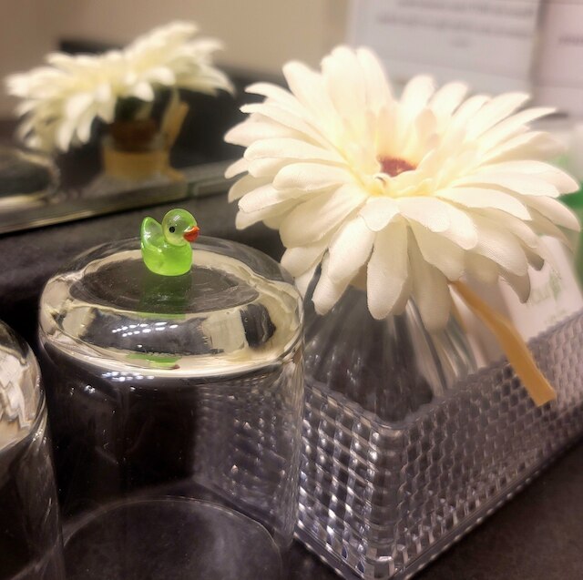 レイヴンズ ネスト ホテル