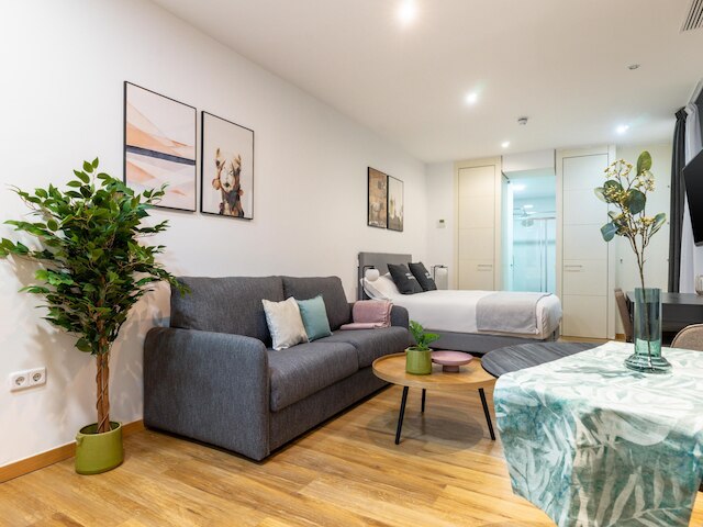 ライムホーム マドリード サン ロレンソ