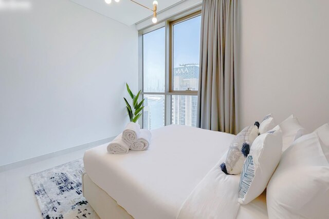 ラビッシュ リビング アロング ザ ドバイ クリーク