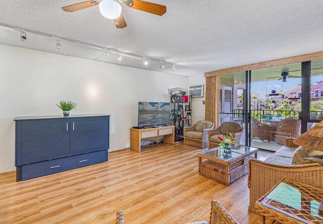 アロハ・カマオレ・マウイの砂からのステップ