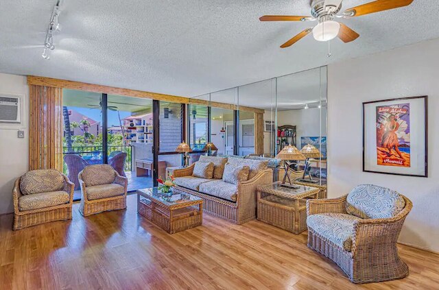 アロハ・カマオレ・マウイの砂からのステップ