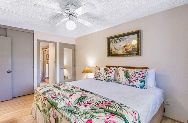 アロハ・カマオレ・マウイの砂からのステップ