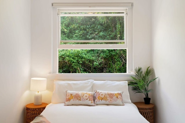 ボンダイ ブリーズ アパートメント