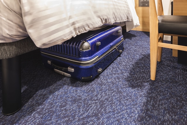 相鉄フレッサイン 淀屋橋