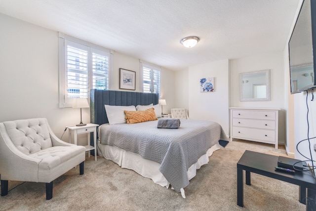 オーシャンビューエクスキジットブリッケル