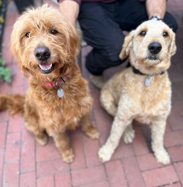 オフ・ブロードウェイB&B