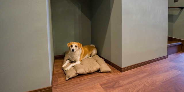 Rakuten STAY VILLA 那須