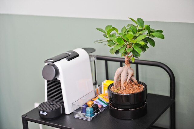 ディバイン ポート ワイン イン リスボン バイ ミーシャズ プレイス 2B