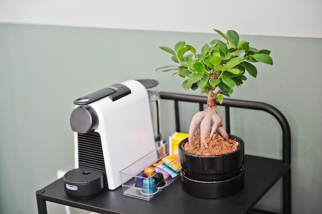 レッド レッド ワイン イン リスボン バイ ミーシャズ プレイス 3B