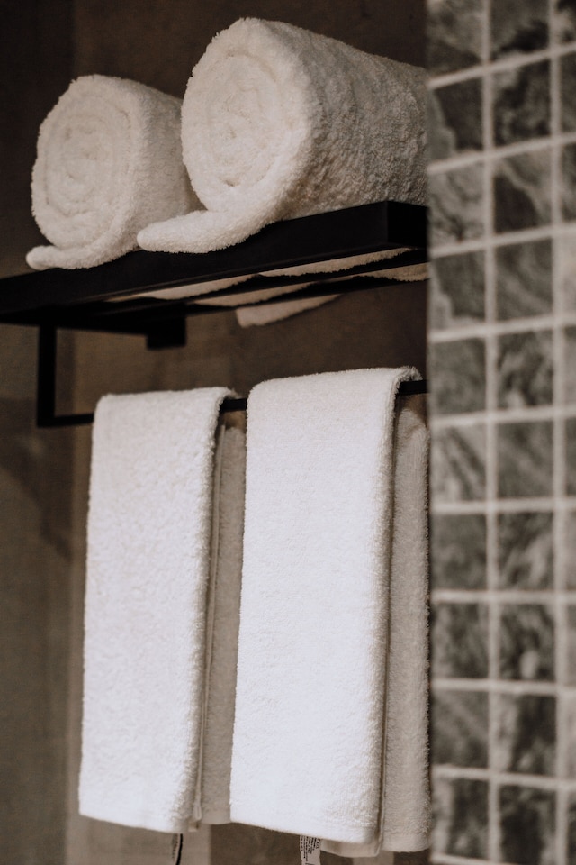 ザ・ファニー・ライオン・エル・ニド