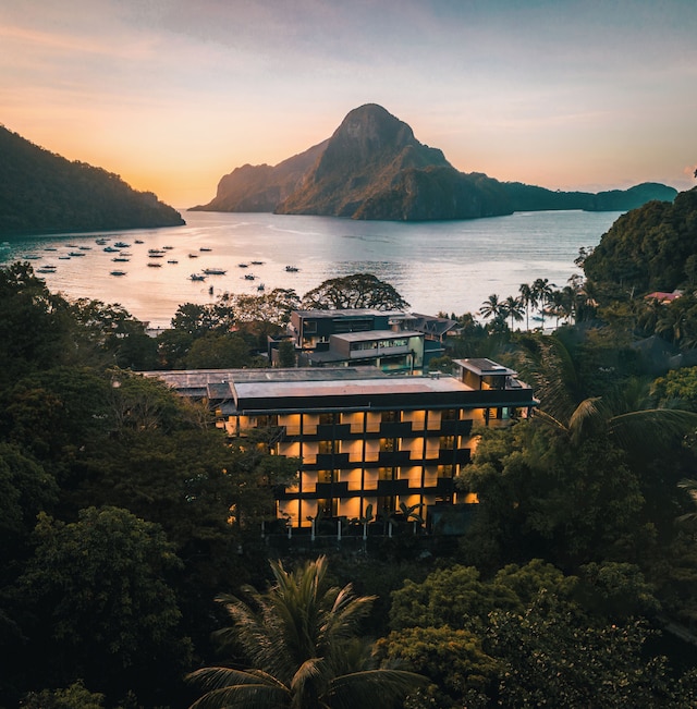 ザ・ファニー・ライオン・エル・ニド