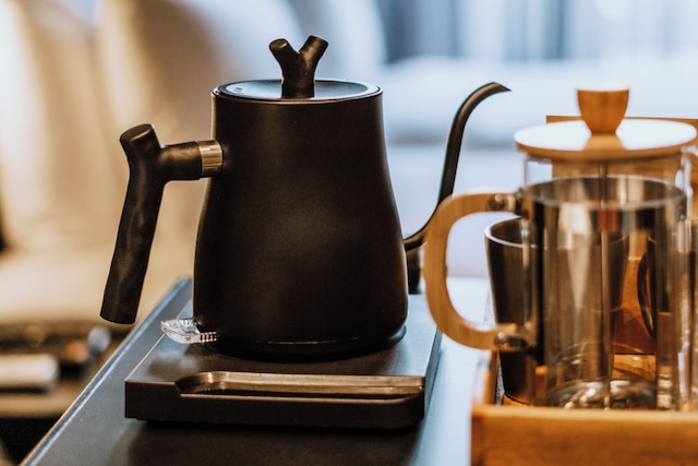 ザ・ファニー・ライオン・エル・ニド