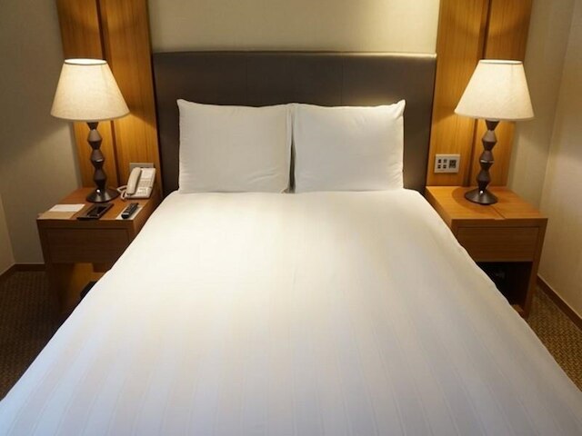 ロッテ シティ ホテル 大田