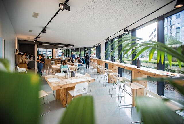 ザ フラッグ チューリッヒ