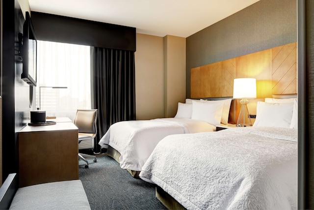 ハンプトン  イン ブルックリン / ダウンタウン