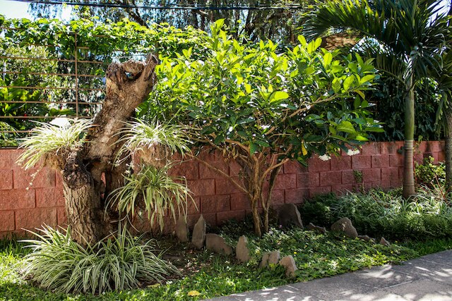 ラス マグノリアス ホテル ブティック