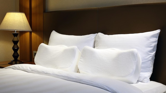 ロッテ シティー ホテル 九老