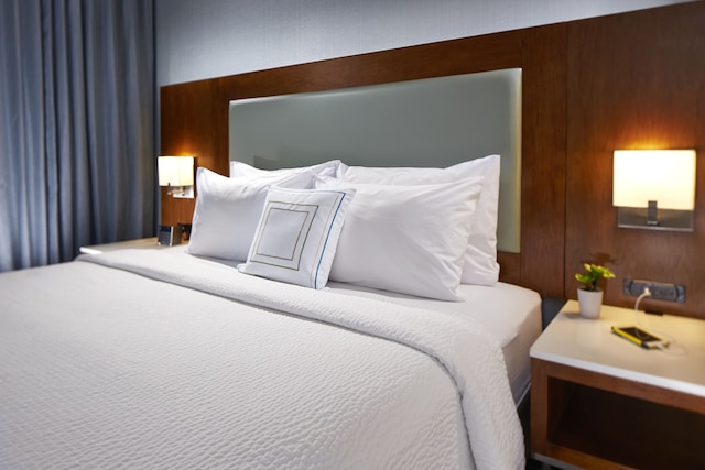 スプリングヒル・スイート・アット・アナハイム・リゾート・エリア/コンベンションセンター