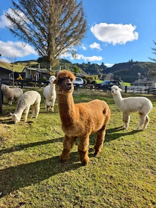 ロトルアのハイドアウェイ