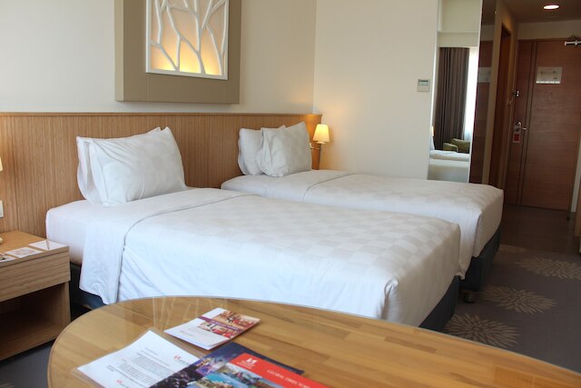 スイス ベリン マニヤル