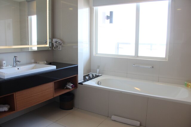 スイス ベリン マニヤル