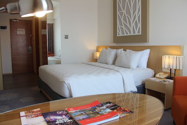 スイス ベリン マニヤル