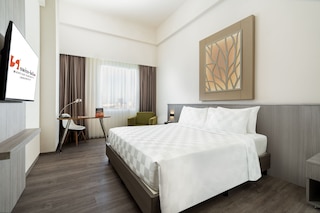 スイス ベリン マニヤル