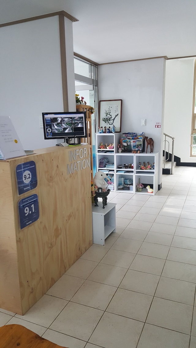 ドリーミング フォレスト