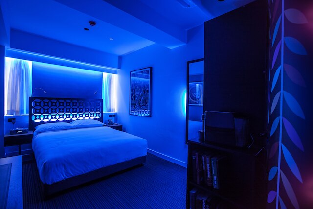 ザ コンスタンス