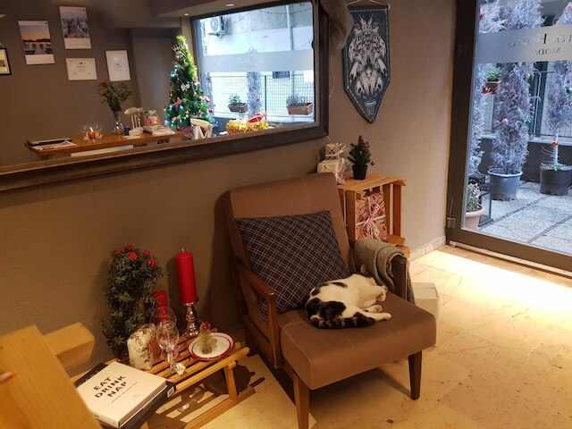 メレク ホテルズ モーダ