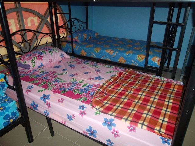 セントール イン